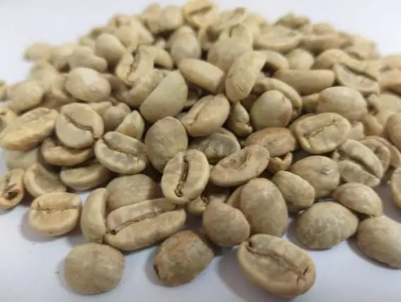  Кофейные зерна с хорошим вкусом вьетнамские нежареные зеленые кофейные Арабика