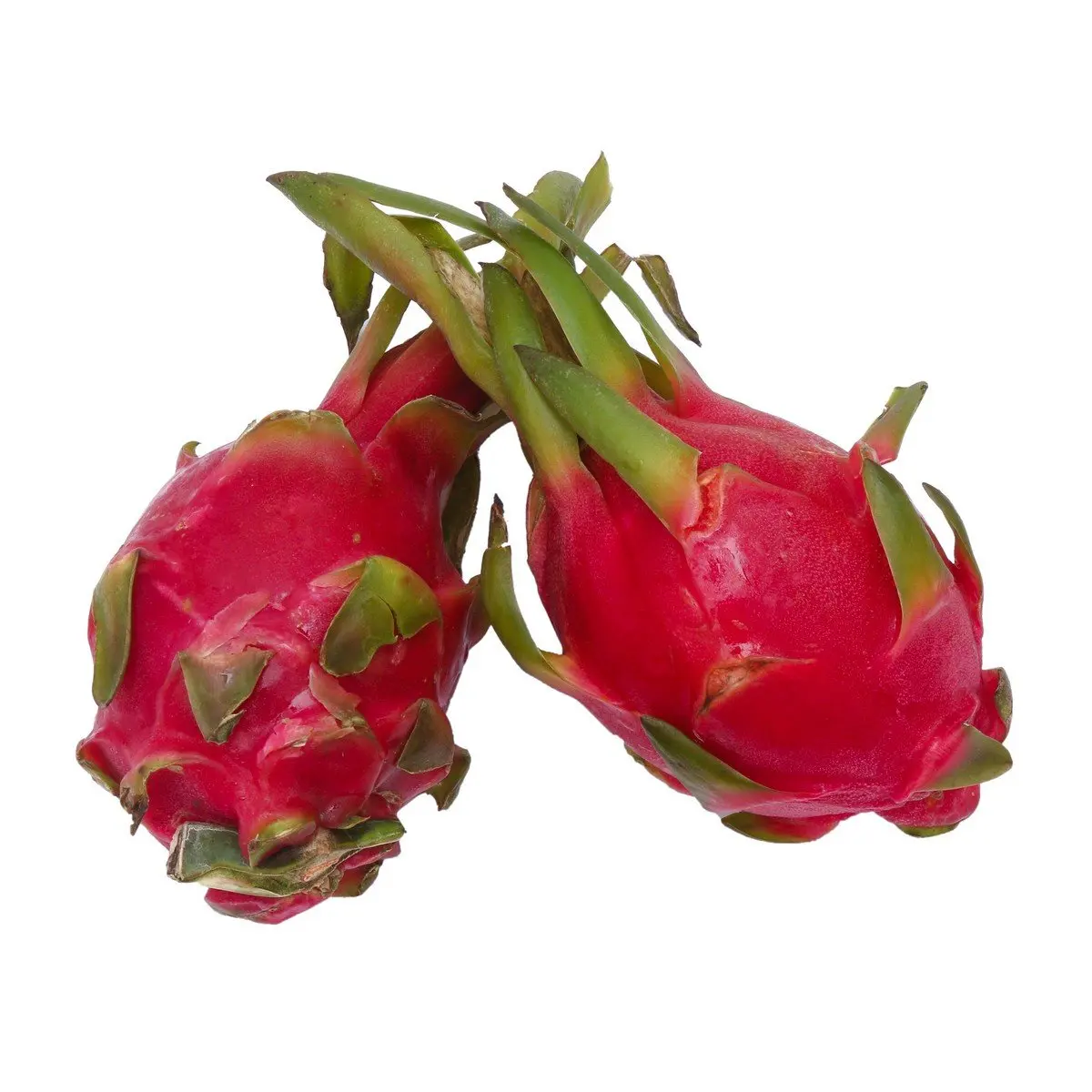 Wholesale Best Quality Fresh Dragon Fruit For Sale In Cheap Price
