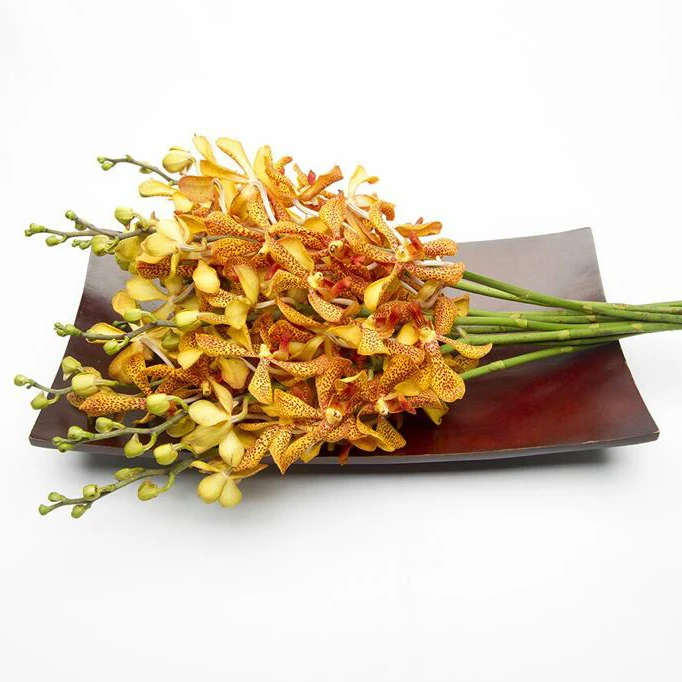 Mokera Flower from TH;16 0.3 USD 0.45