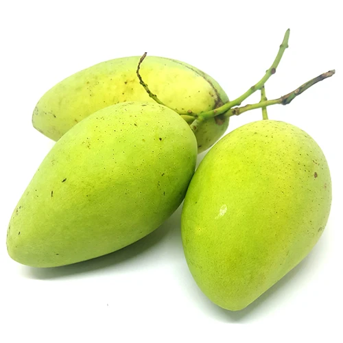 Fresh Mango From Viet Nam