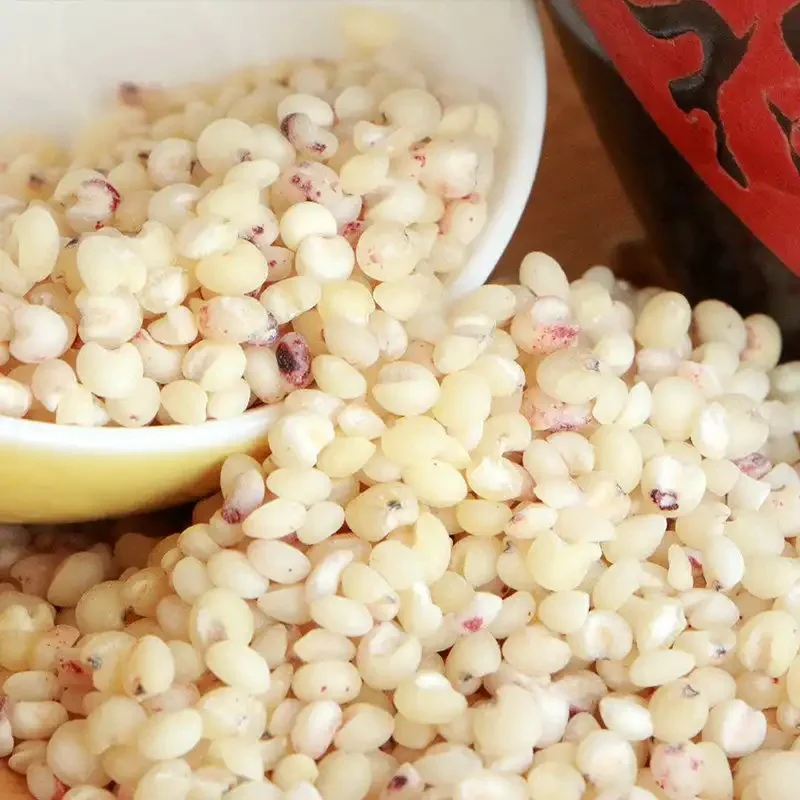 Quality Red Sorghum/White Sorghum For Sale