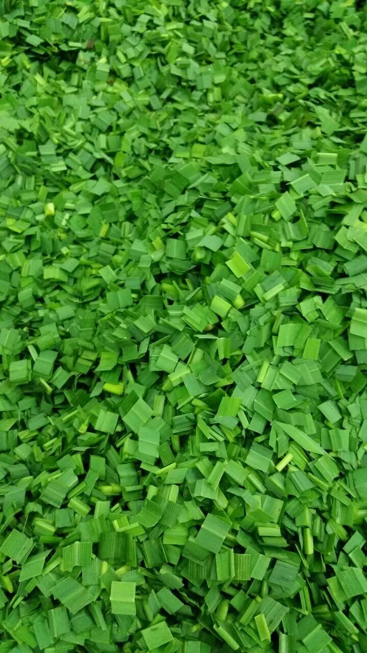 Порошок Листьев пандана может служить хорошей травяной добавкой высушенные листья экстракта имеют полезный запах