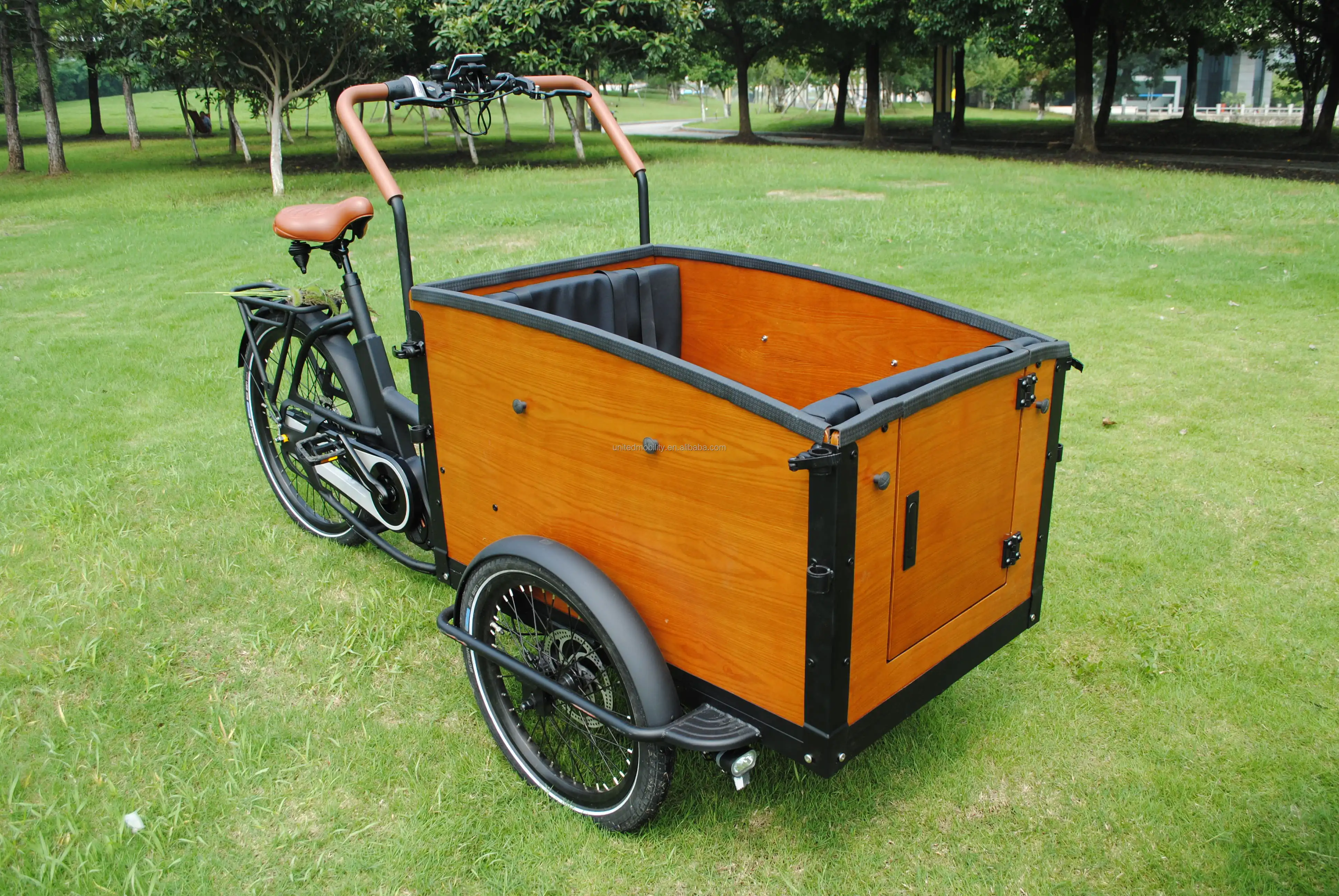 Promotional various durable using fat e cargo bike adult trike 3 wheel electric