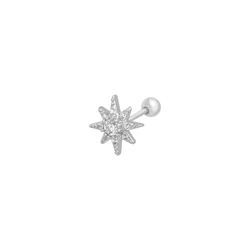 CANNER Shiny Wholesale Jewelry S925 Sterling Silver Zircon Star Piercing Earrings For Women Ladies