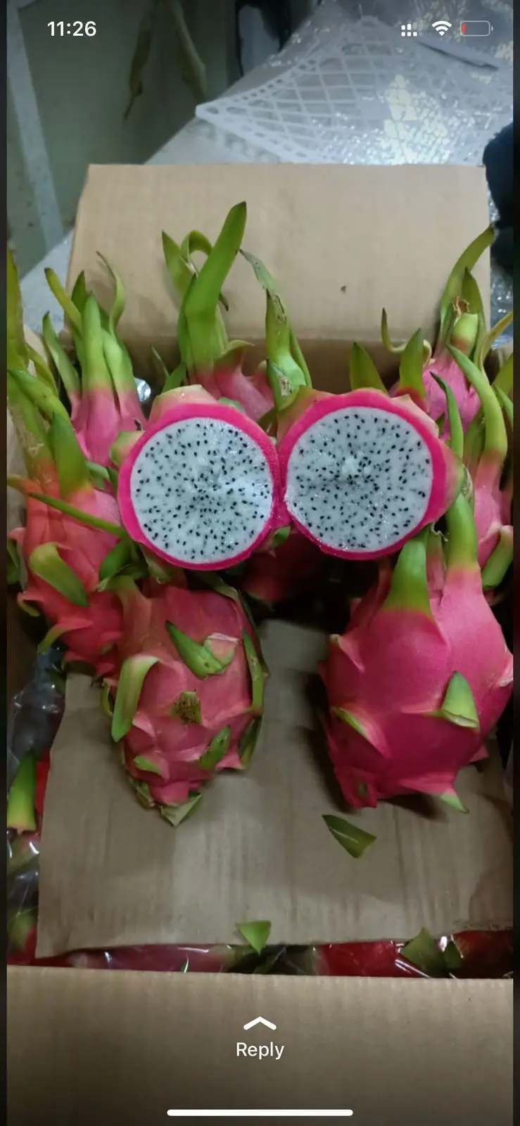 Вьетнамские свежие фрукты дракона по лучшей цене и высокого качества