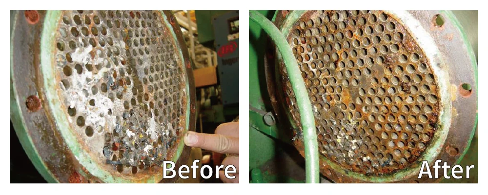 Taiwan Tech Descaler Magnet Chem-Free 4000/10000