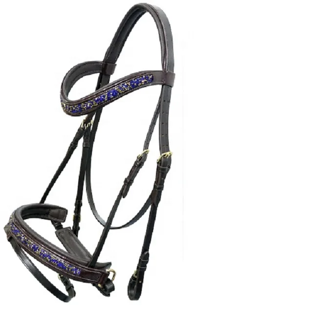 Leather Bridle