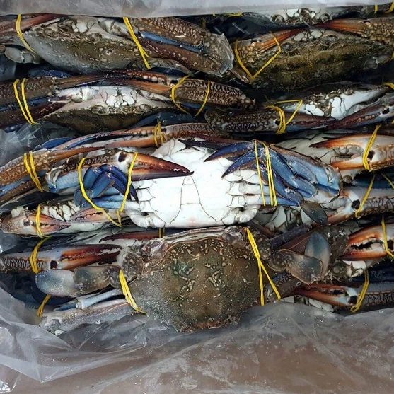 Fresh/Frozen Blue Swimming Crab