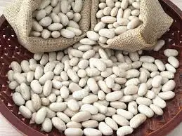 Белая фасоль-высокое качество 21