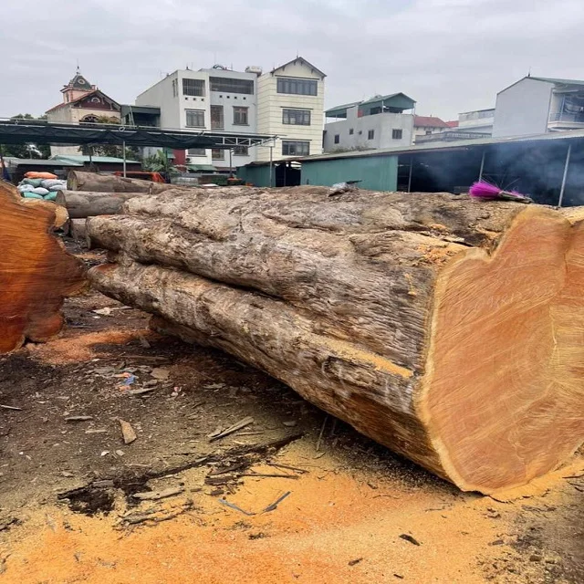 Bubinga Or Kevazingo Wood Square And Round Logs