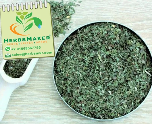 (SPEARMINT) NEW CROP HIGH QUALITY EGYPTIAN SORTEX CONVENTIONAL AND ORGANIC VERY COMPETITIVE PRICE