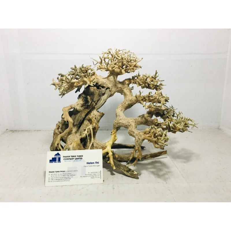 2024 Good Quality Bonsai Driftwood for Aquarium Decoration WhatsApp: +84 961005832