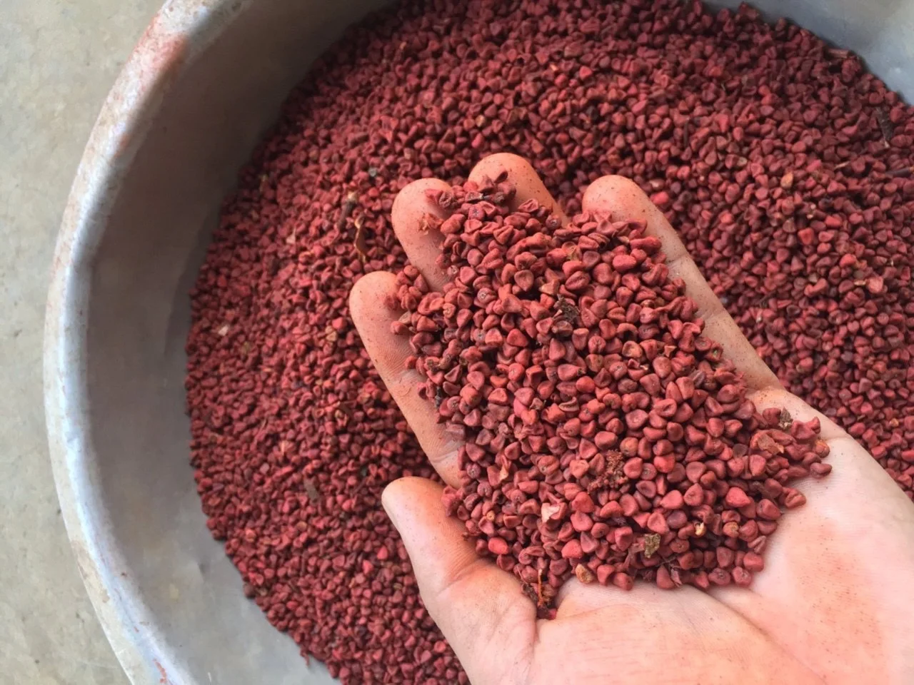 Сыпучее количество семян Аннато по низкой цене/гранулы сырье натуральный красный без добавления Вьетнам/Shyn Tran + 84382089109