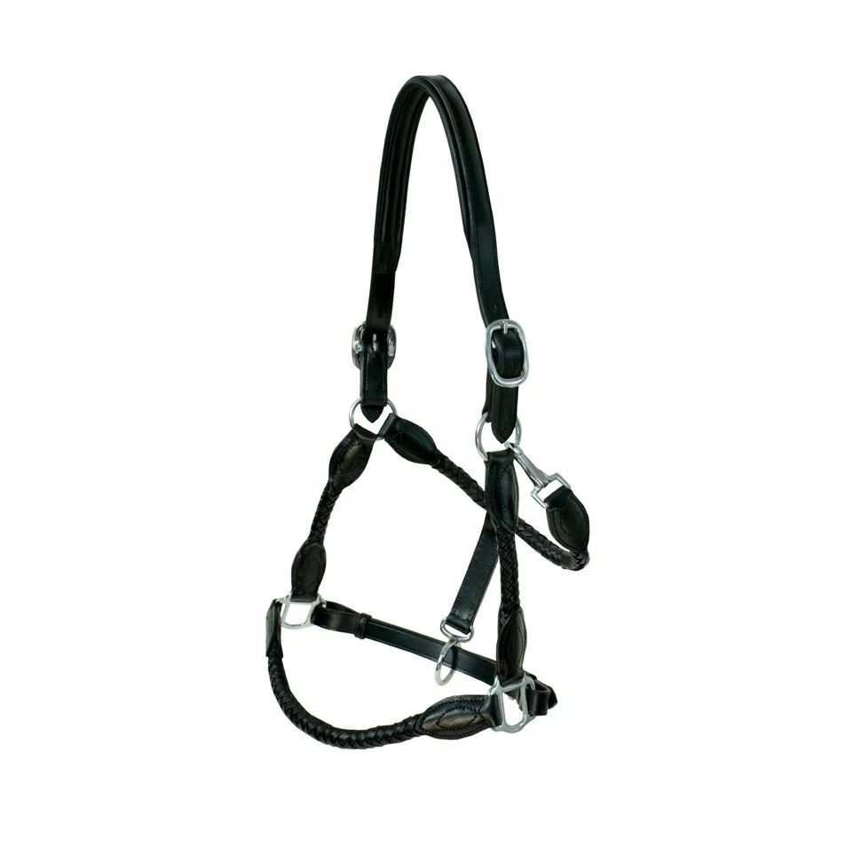 Best Quality Leather Horse Halter Available In Many Colors For Horse Riding Use Manufacturer