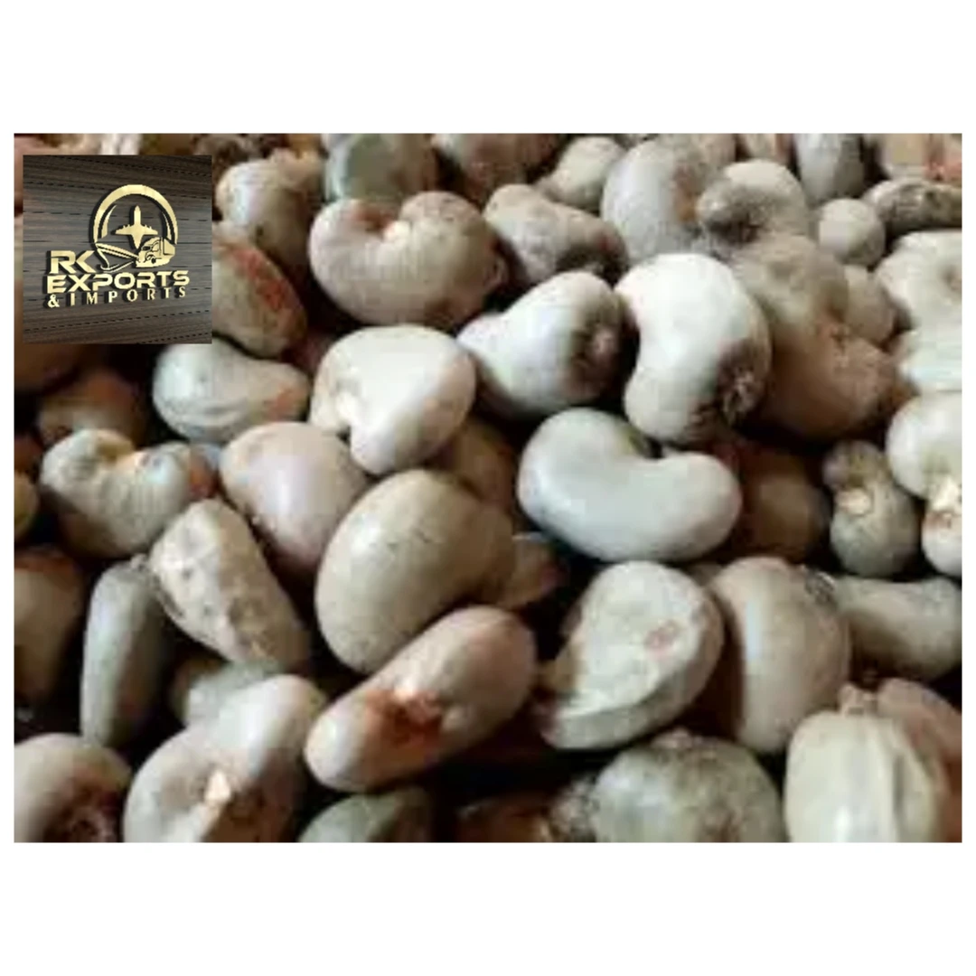 Raw Cashew Nut / kaju / Raw Cashew Kernels / Cashew Origin India wholesale supplier and exporter from india +919786060004