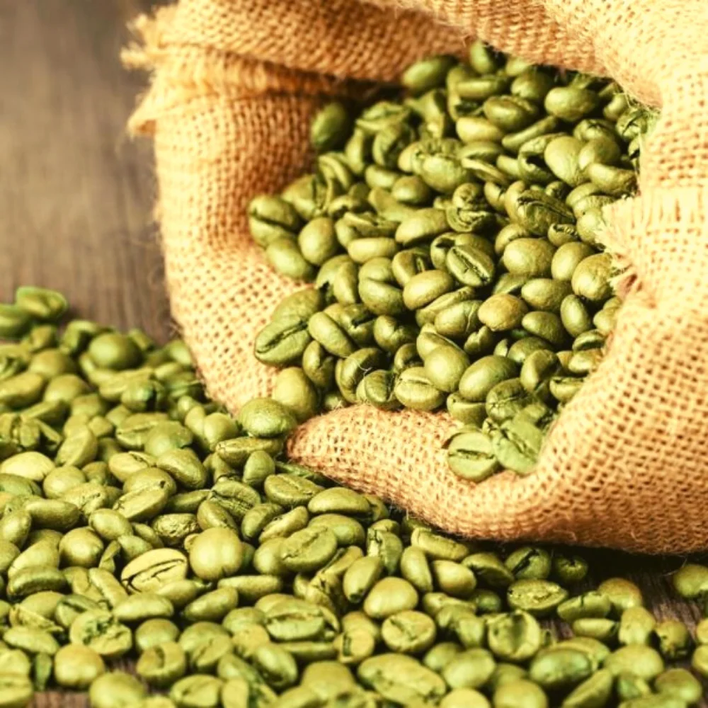 Raw Green Coffee Beans | The green side of coffee | Vietnamese robusta beans | Wet polished