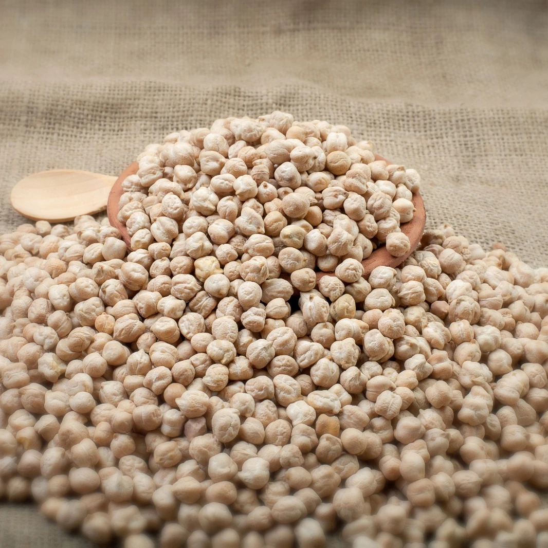 
Origin Turkey Chickpeas 8mm for Europe 