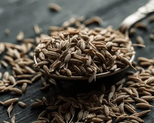 Cumin Seeds high quality Natural Egyptian Type best Grade and best price top grade ground/whole