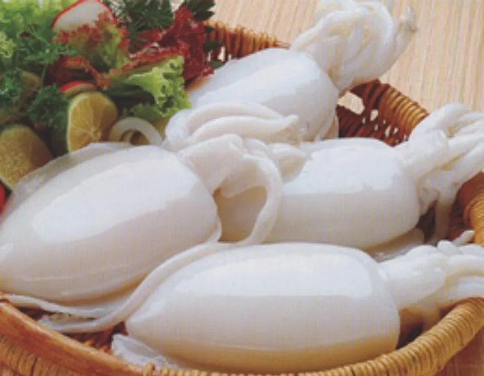 
VIET NAM FROZEN WHOLE CLEANED CUTTLEFISH ISO/HACCP 