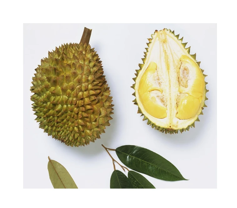 Frozen Durian Whole Durian From Vietnam