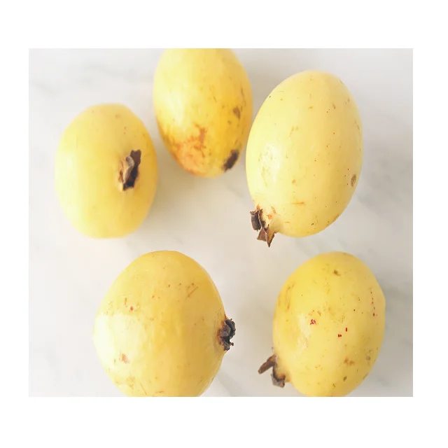 High Quality Organic Guava Fruit In Reasonable Prices