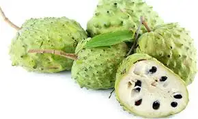 FRESH SOURSOP WITH HIGH QUALITY/Whatsapp Ms Holiday
