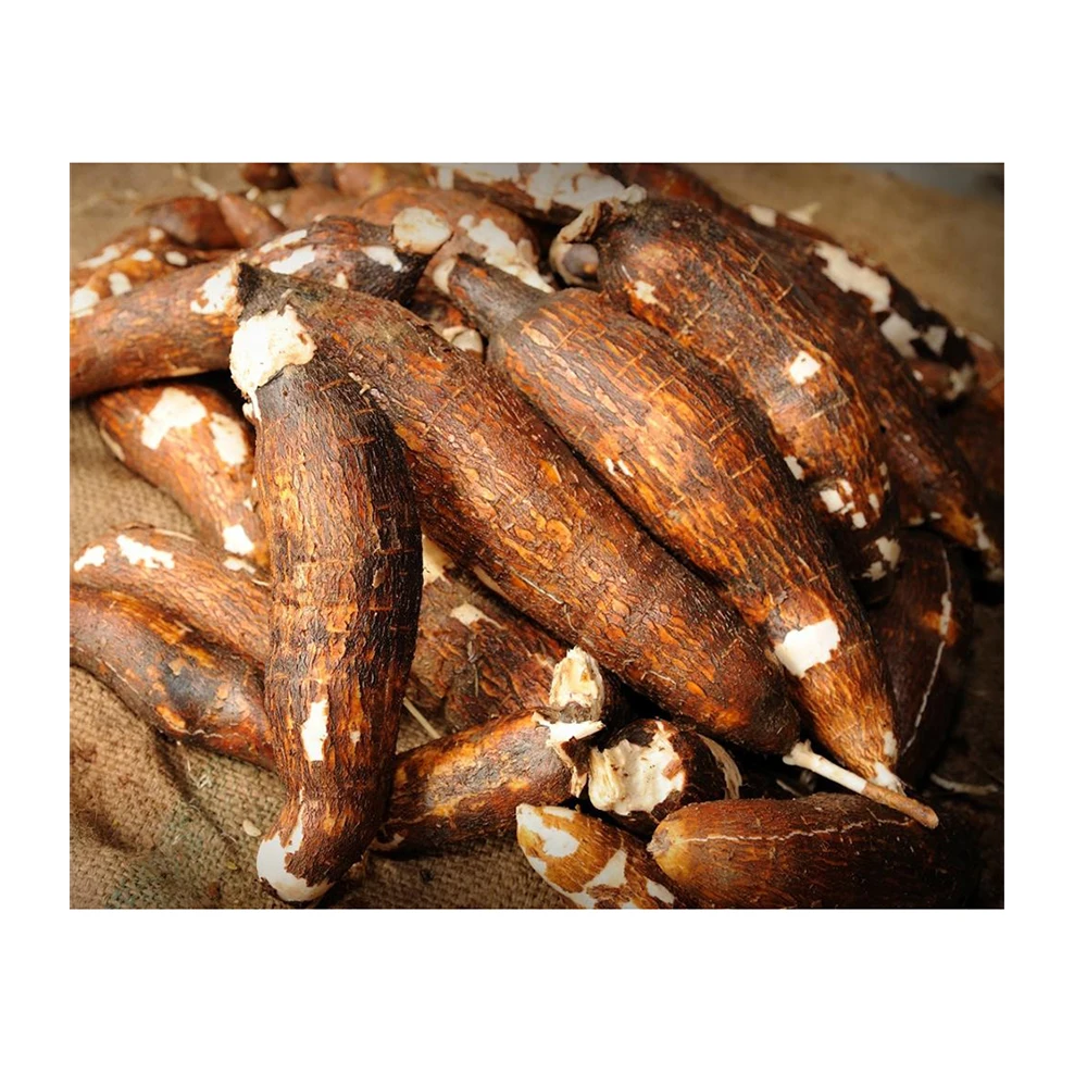 Buy online fresh cassava