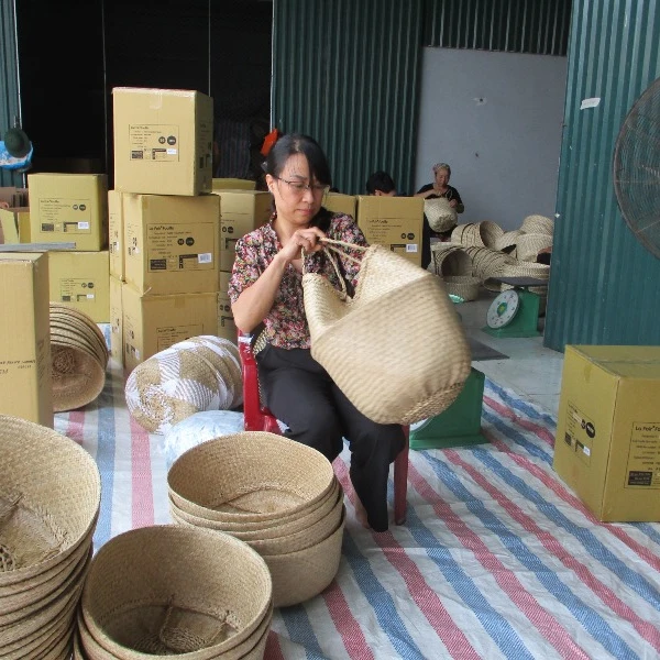 
 Плетеная корзина из морских водорослей DPI инспекционная служба-Вьетнам, Таиланд, Индонезия, Малайзия, и так далее  