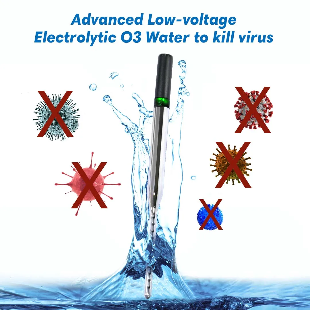 OEM ODM Fruit vegetable washing portable disinfection spray apply ozonio ozone generator water sterilizer machine