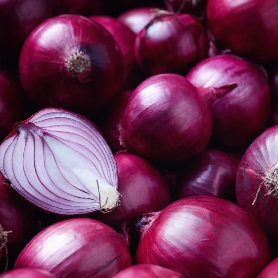  Свежий красный лук из Пакистана (предприятия Naqshbandi)