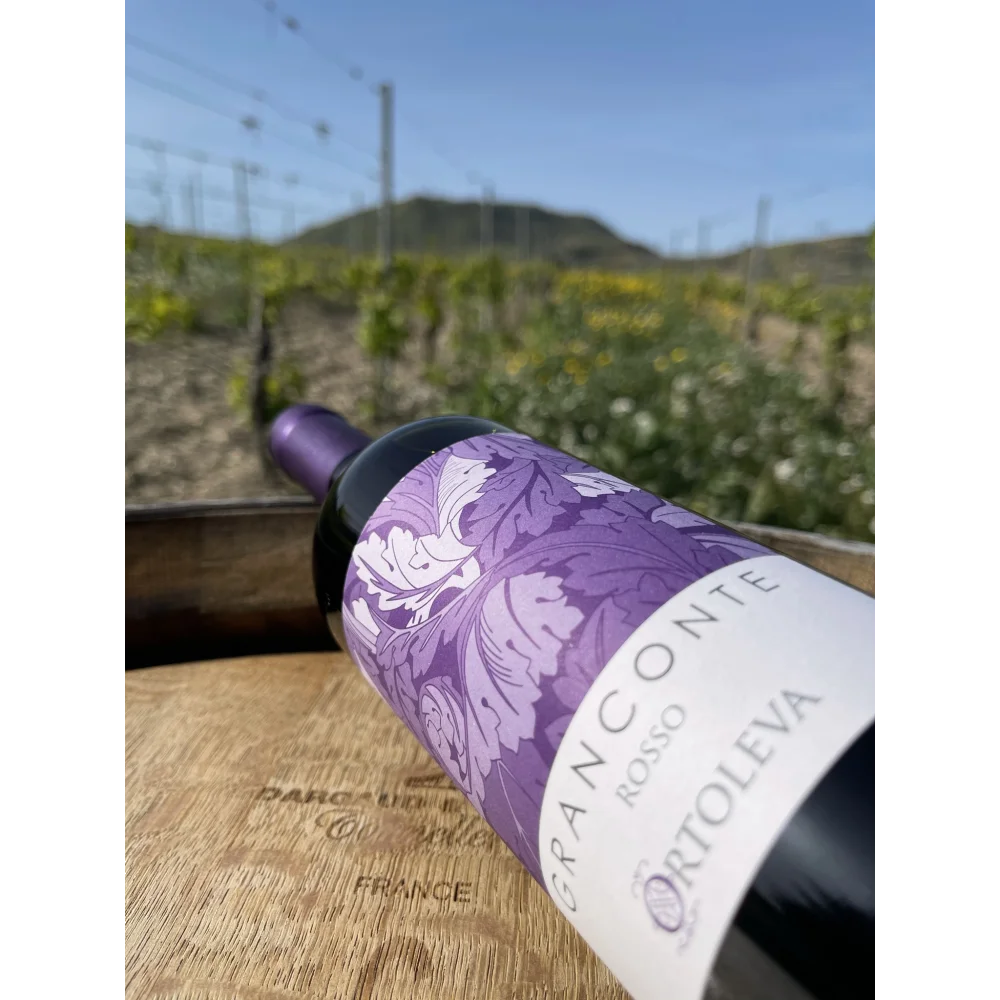 Высококачественное итальянское красное вино из Сицилии-гранит красный 75cl-Сделано в Италии спиртовой