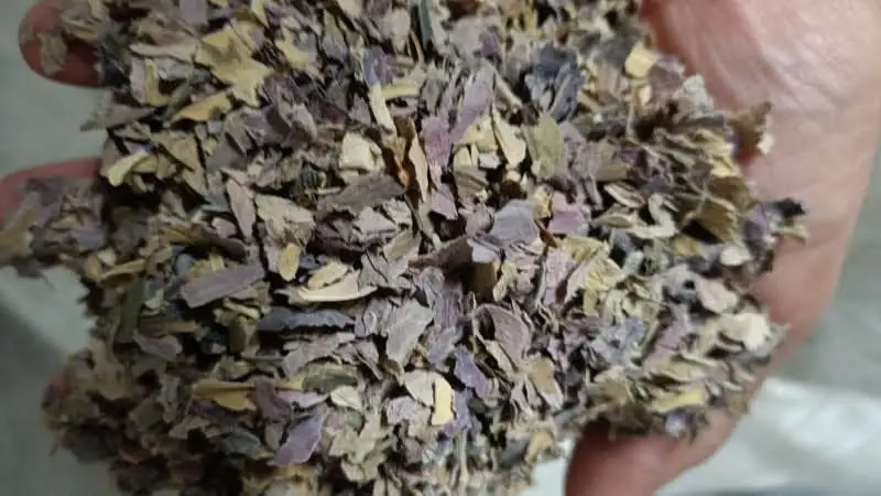 Здоровый продукт-сушеный чай с цветком лотоса травяной приятный вкус и красивый синего сушеный