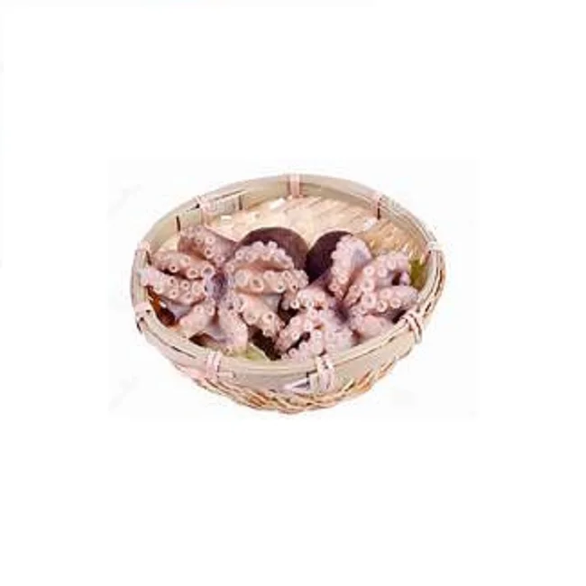 VIETNAM OCTOPUS SEAFOOD / BEST QUALITY (whatsapp +84 123 2425 473)