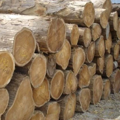 
Best Hardwood Sawn / Timber Wood Logs and Sawn Lumber for sale 