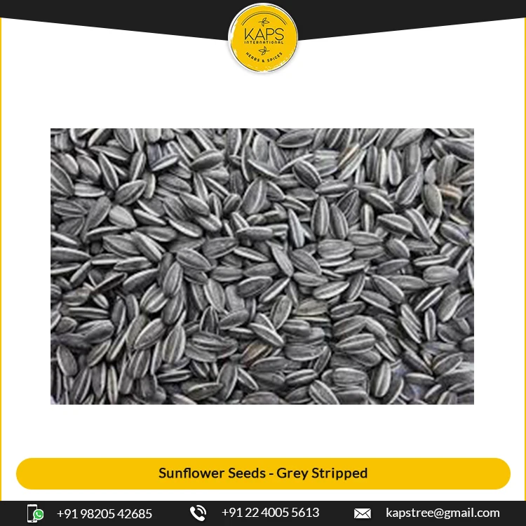 
Amazing Sale on Dried Machine Cleaned 99% Purity Sunflower Seeds at Affordable Price 