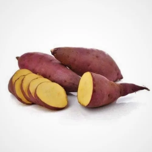 Новое культивирование свежих овощей-сладкий картофель большого размера