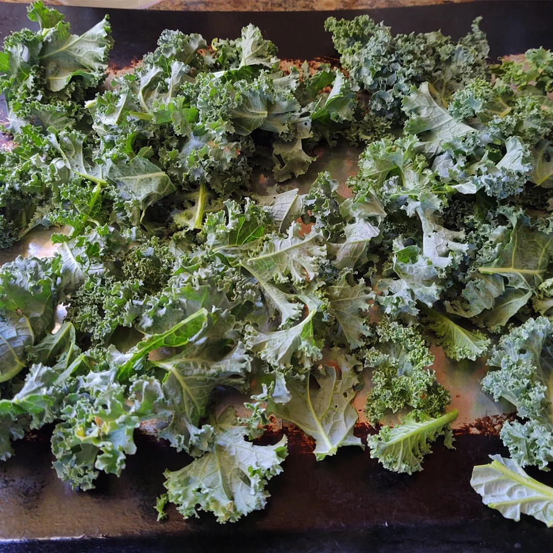 High Quality Kale Powder Herb Extract From Vietnam Supplier Wholesale