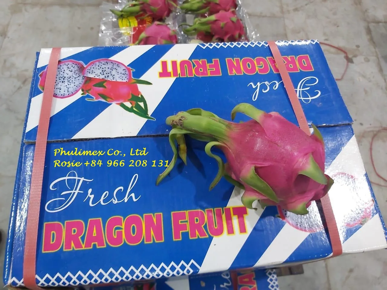 VIETNAM white Dragon fruit/ whatsapp +84966208131