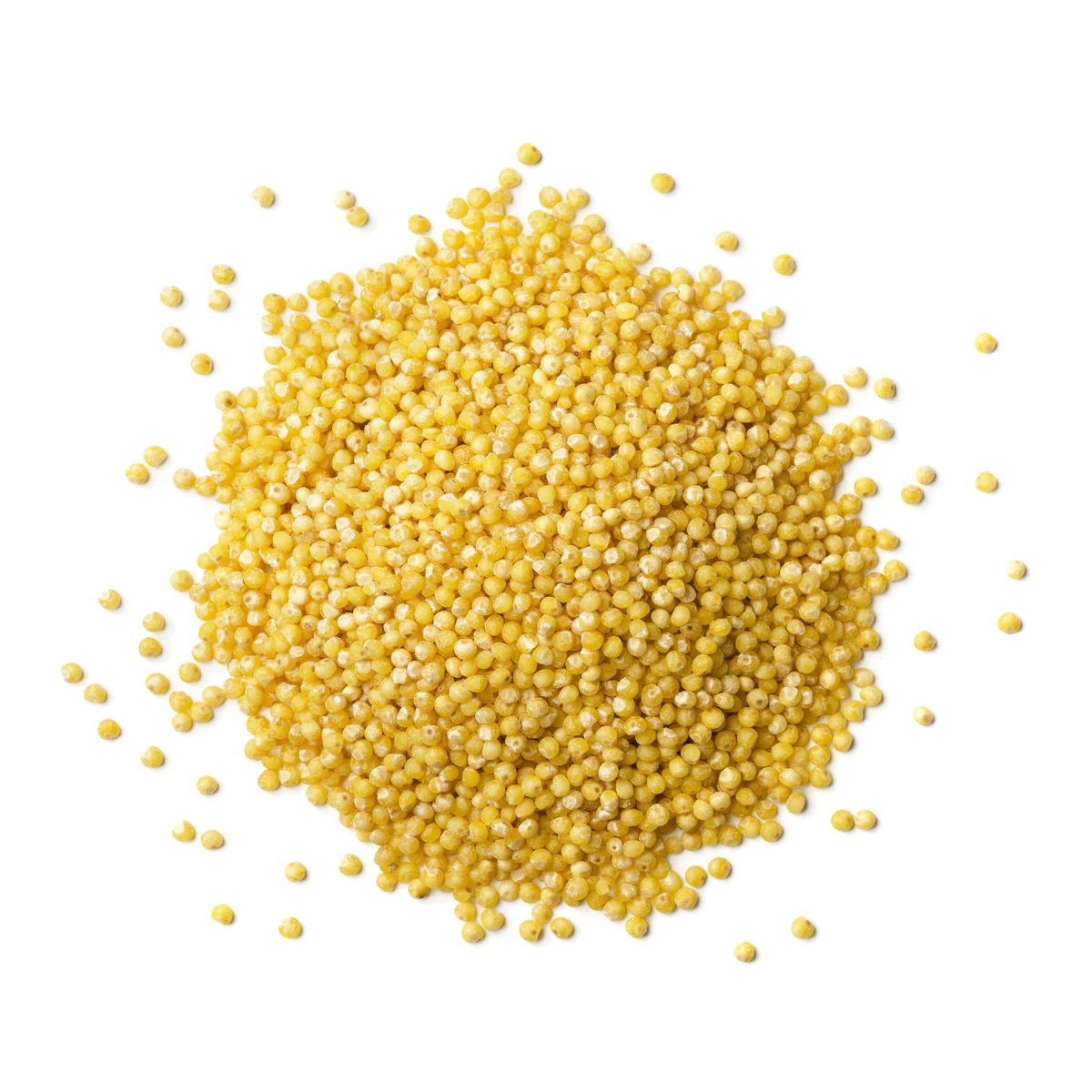 Good quality yellow millet high nutrition value, yellow millet