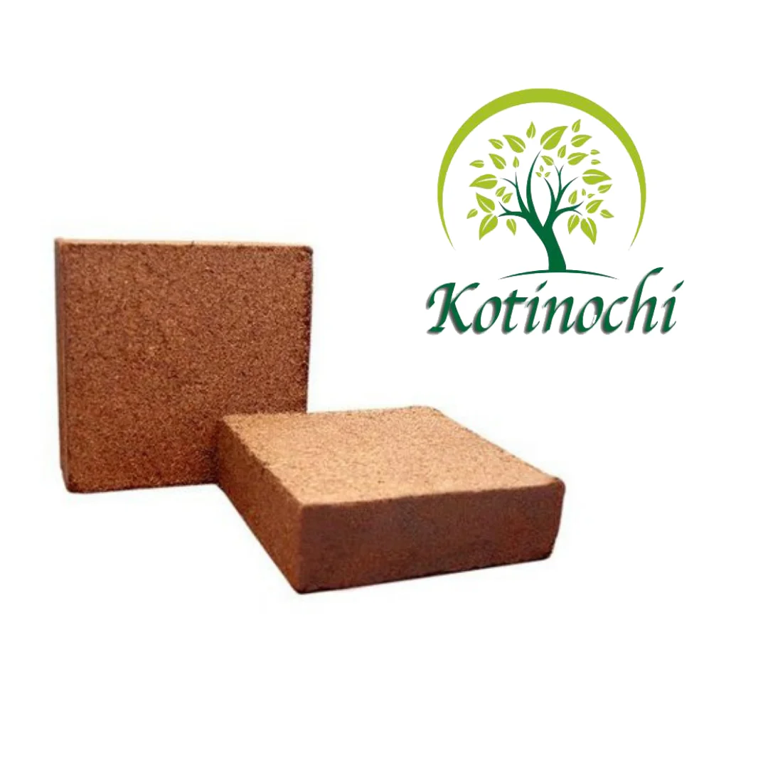 Cocopeat High Quality/Coco Fiber/Cocopeat Best Price