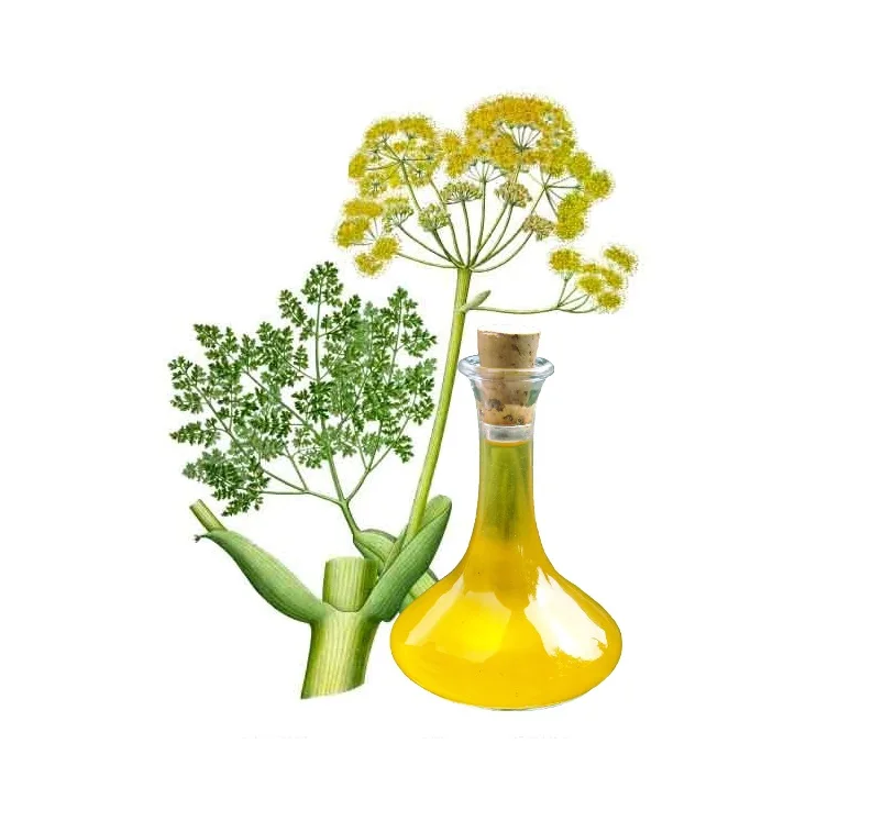 100% Pure and Natural Galbanum Oil Bulk Exporter From India at Wholesale Prices for Cosmetic Use
