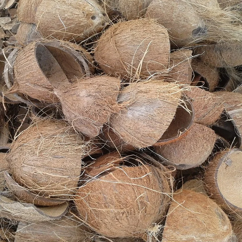 Top Quality Palm Kennel Shell - %100 Best Quality / Coconut shell , Walnut Shell