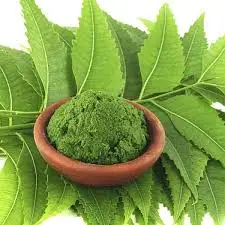 100% pure neem leaf extract powder wholesale price free sample EU certified for blood sugar control/cosmetic use/as antioxidant