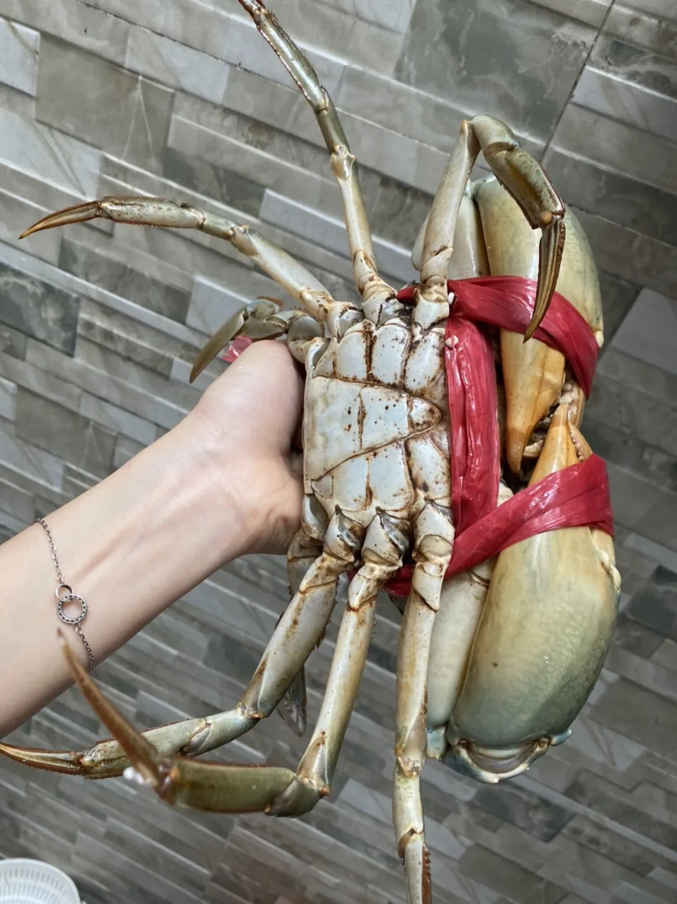 Wholesale Frozen Blue Swimming Crab/ Cut Crab/Crab Meat