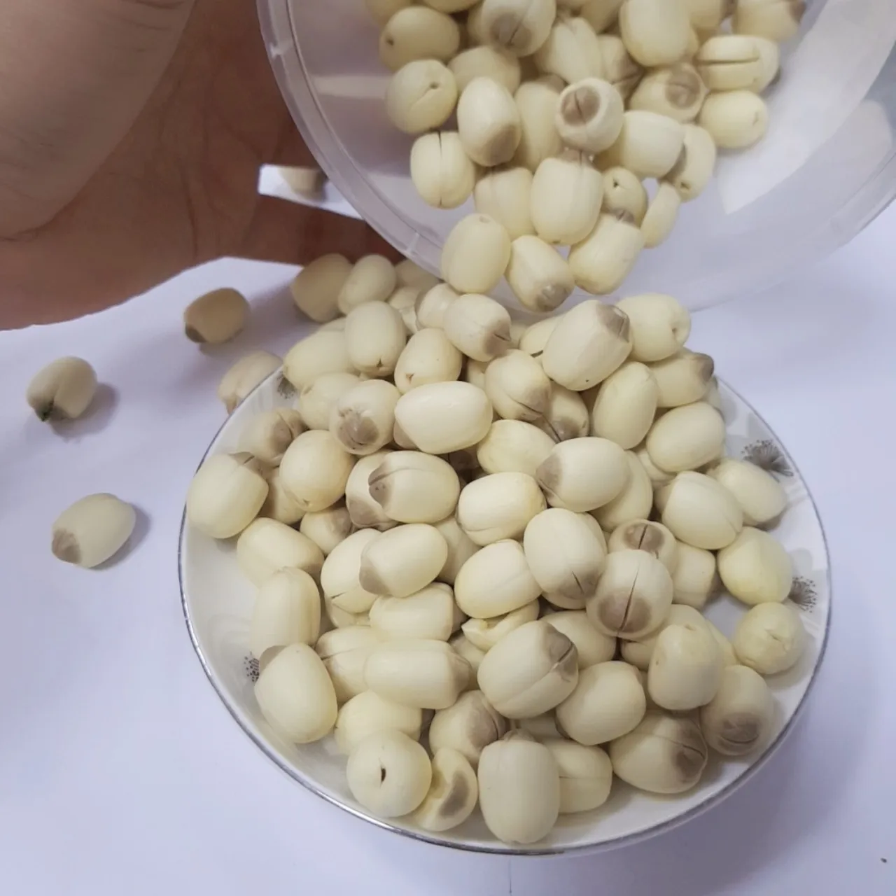 Dried Lotus seed Vietnam Lotus Seed 100% Natural Dried Lotus Seeds   From Viet Nam