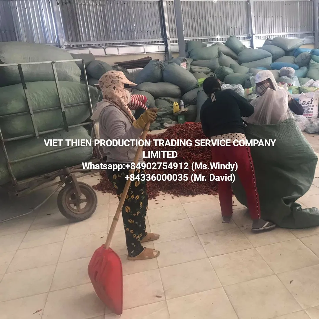 Meet Standard Export Natural Spices Manufacturer Affordable Dried Red Shipping From Vietnam Used As Raw Material