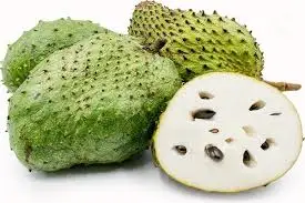 FRESH SOURSOP WITH HIGH QUALITY/Whatsapp Ms Holiday