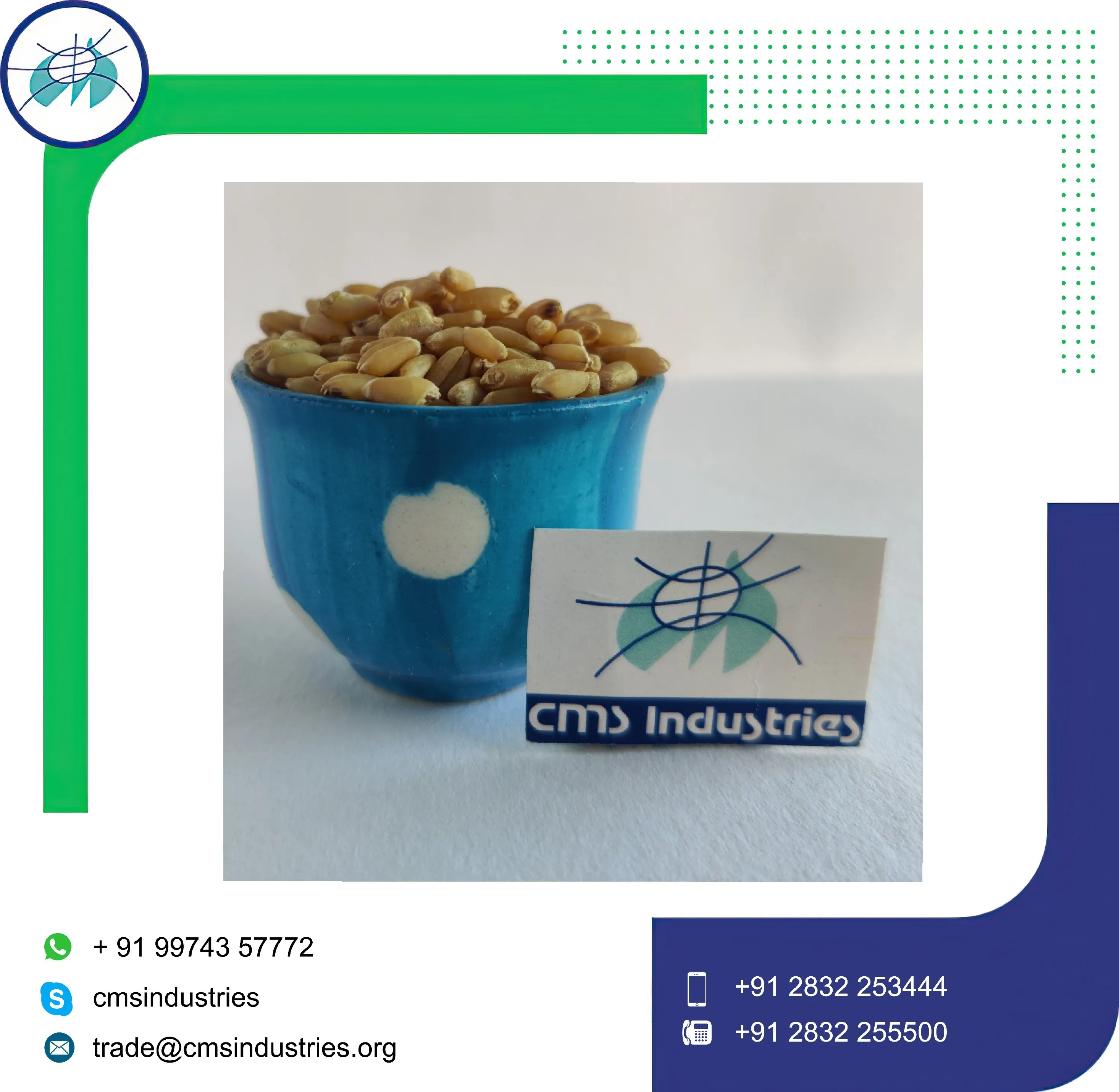 Превосходное качество пшеница Sharbati