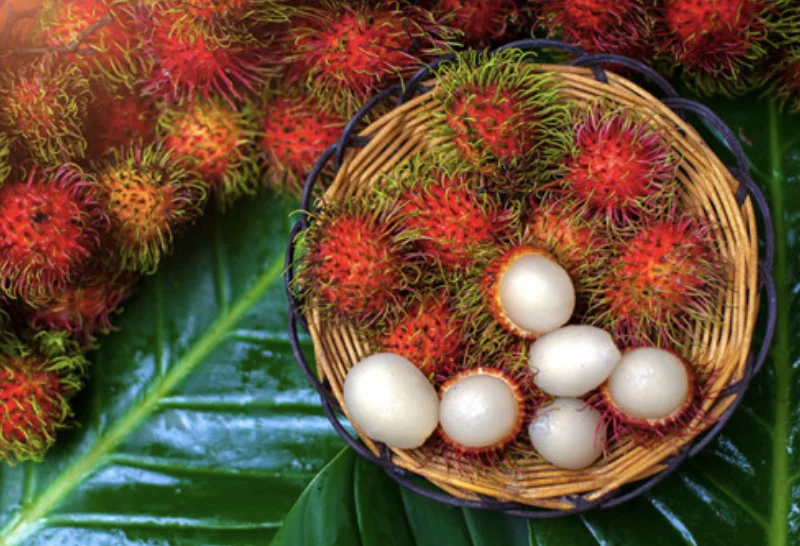 High quality competitive price fresh RAMBUTANT from Viet Nam