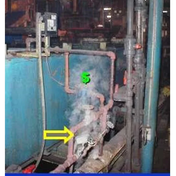 
3 Years Guarantee Personal Boiler Check Steam Trap Singapore Service with Production Monitoring 